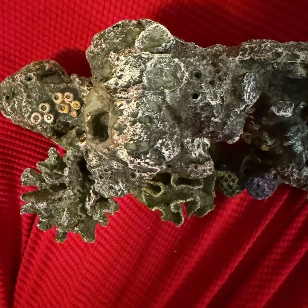 synthetic aquarium decor designed to look like a coral reef